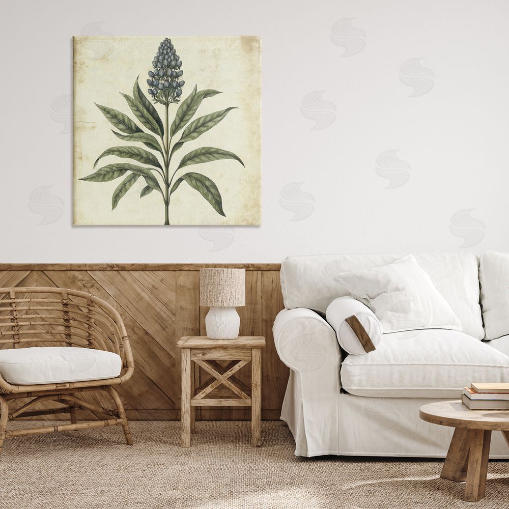 Petal Prints Design Vintage Blue Botanical Illustration Canvas Art on Wall