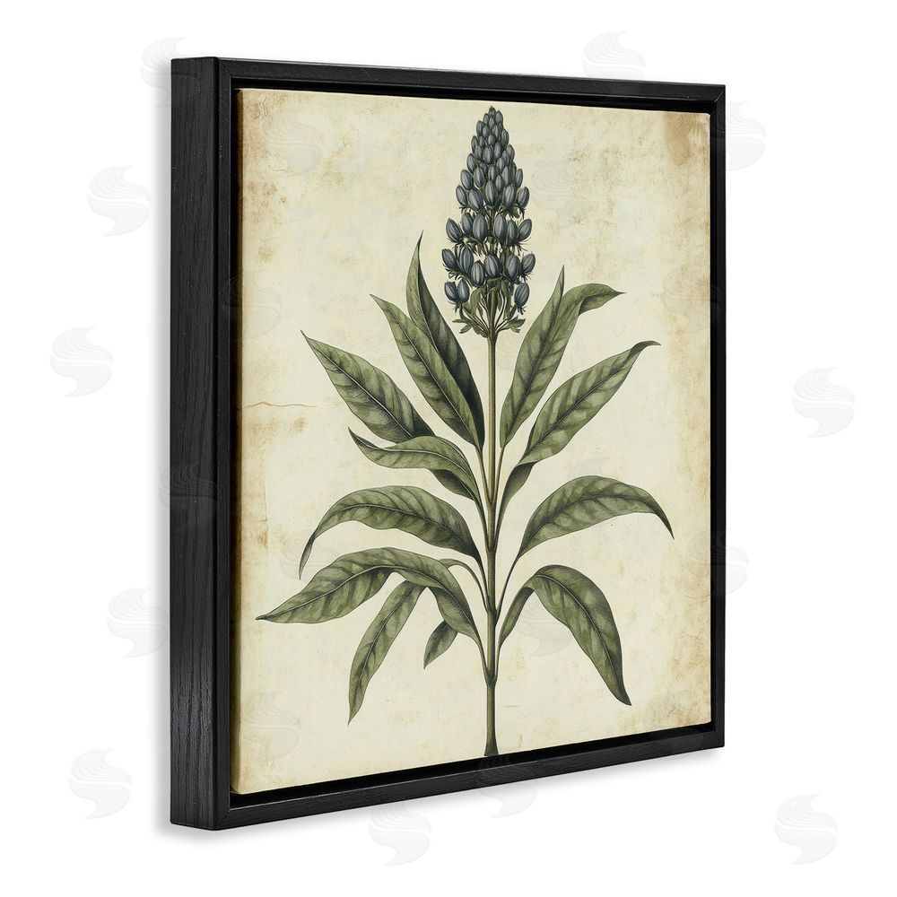Petal Prints Design Vintage Blue Botanical Illustration Black Floating Frame Canvas Wall Art Print