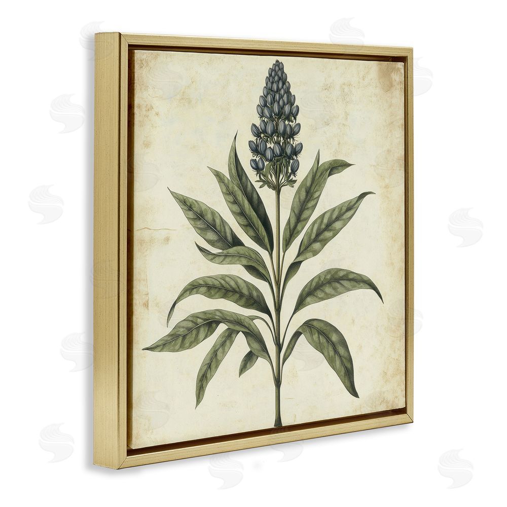 Petal Prints Design Vintage Blue Botanical Illustration Gold Floating Frame Canvas Wall Art Print