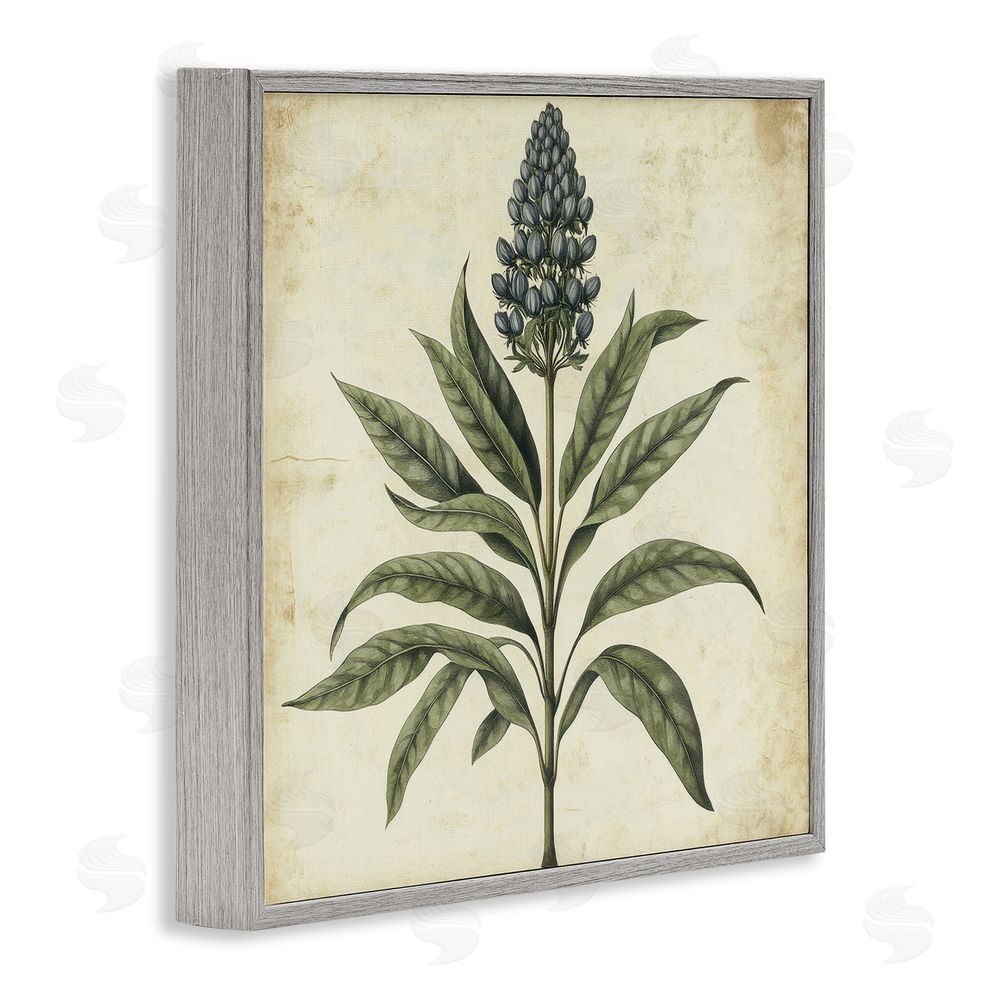 Petal Prints Design Vintage Blue Botanical Illustration Gray Framed Giclee Wall Art Print