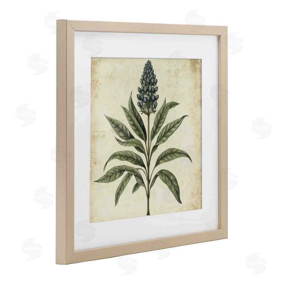 Petal Prints Design Vintage Blue Botanical Illustration Birch Framed Print Under Glass with White Mat Wall Art