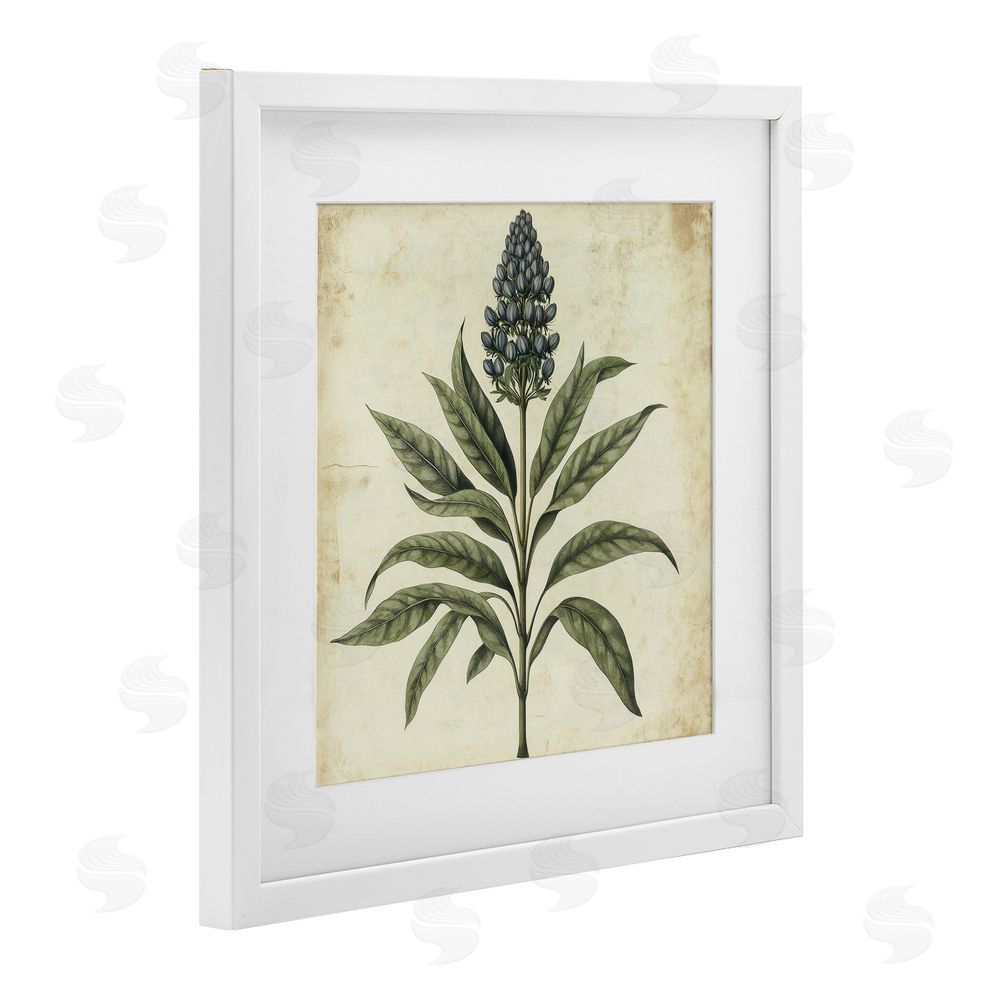Petal Prints Design Vintage Blue Botanical Illustration White Framed Print Under Glass with Mat Wall Art