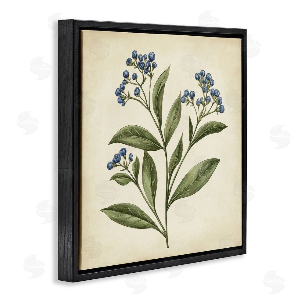 Petal Prints Design Blue Buds Botanical Illustration Black Floating Frame Canvas Wall Art Print