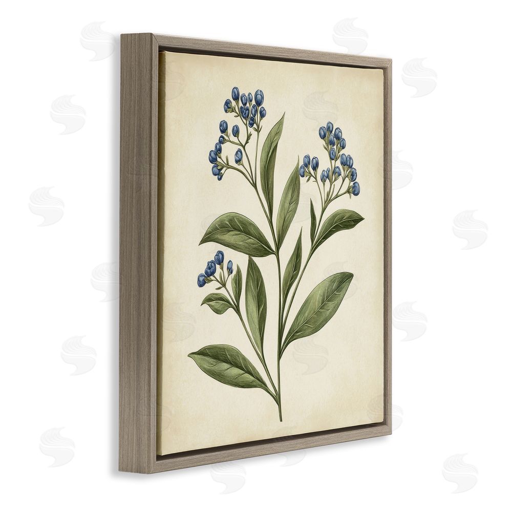 Petal Prints Design Blue Buds Botanical Illustration Brown Floating Frame Canvas Wall Art Print