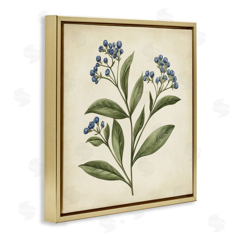 Petal Prints Design Blue Buds Botanical Illustration Gold Floating Frame Canvas Wall Art Print