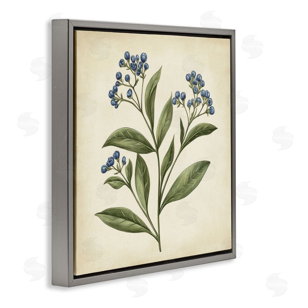 Petal Prints Design Blue Buds Botanical Illustration Gray Floating Frame Canvas Wall Art Print