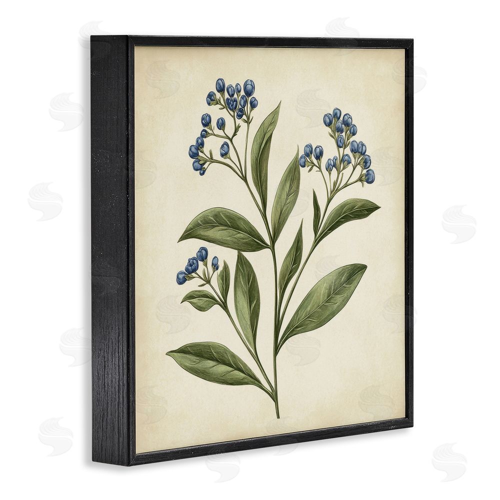 Petal Prints Design Blue Buds Botanical Illustration Black Framed Giclee Wall Art Print