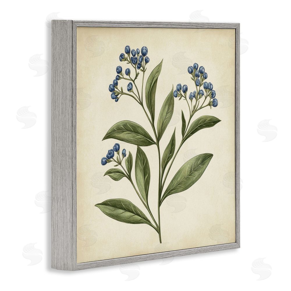 Petal Prints Design Blue Buds Botanical Illustration Gray Framed Giclee Wall Art Print
