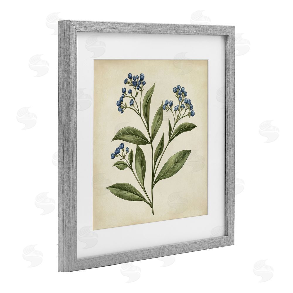 Petal Prints Design Blue Buds Botanical Illustration Gray Framed Print Under Glass with White Mat Wall Art