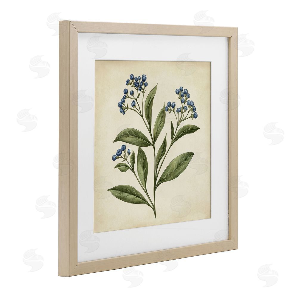 Petal Prints Design Blue Buds Botanical Illustration Birch Framed Print Under Glass with White Mat Wall Art