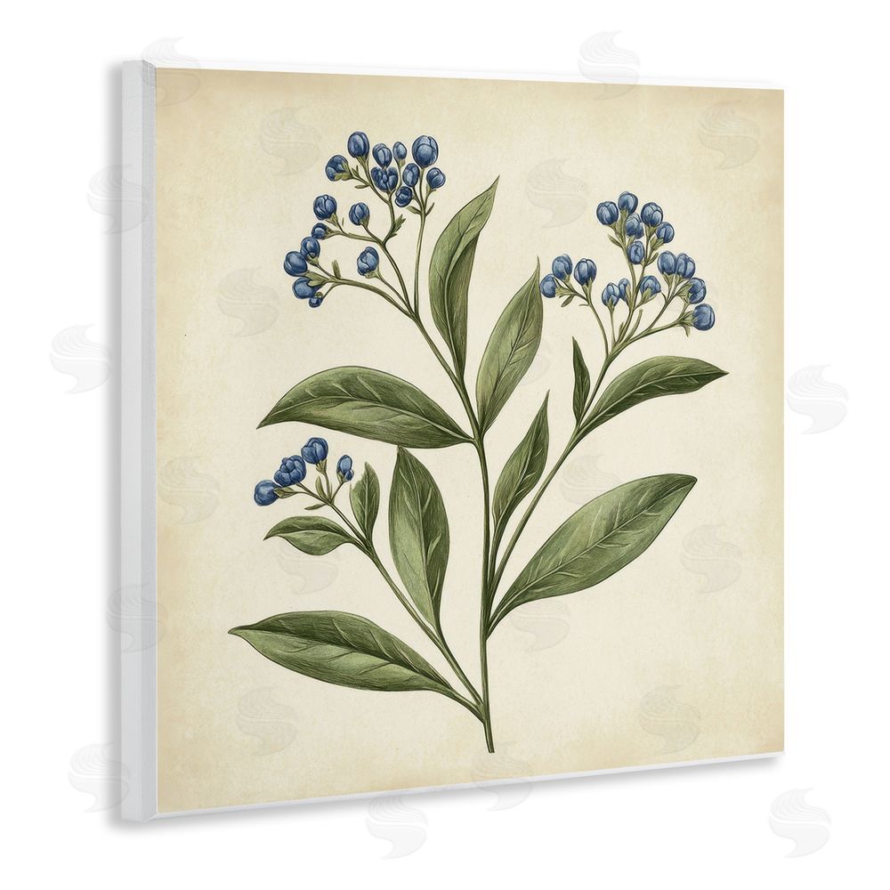 Petal Prints Design Blue Buds Botanical Illustration Wall Plaque Art Print