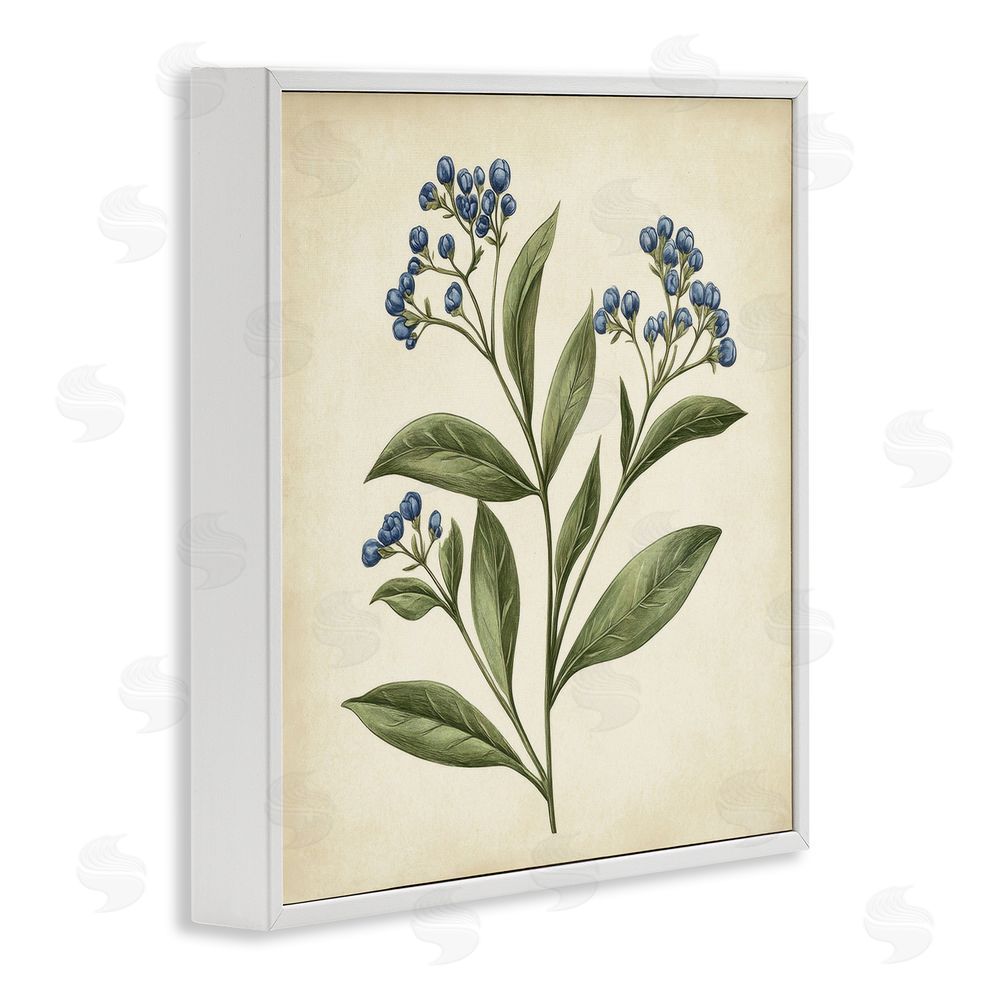 Petal Prints Design Blue Buds Botanical Illustration White Framed Giclee Wall Art Print