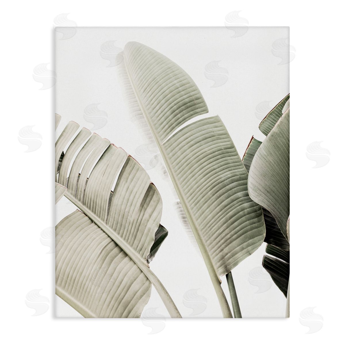 Sisi and Seb Muted Banana Leaves Canvas Wall Art Print