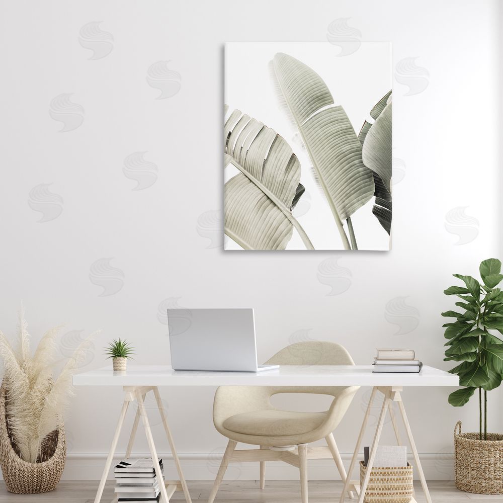 Sisi and Seb Muted Banana Leaves Canvas Art on Wall