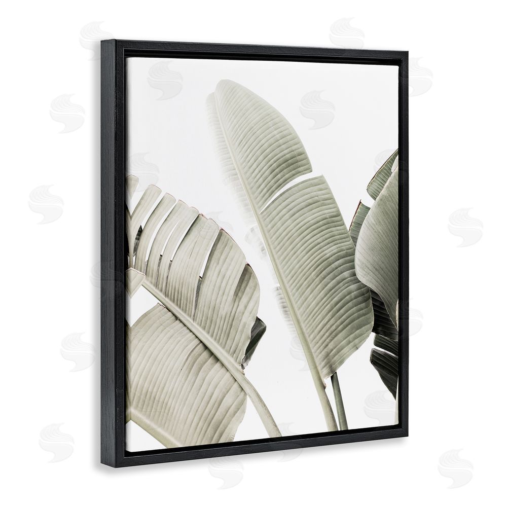Sisi and Seb Muted Banana Leaves Black Floating Frame Canvas Wall Art Print
