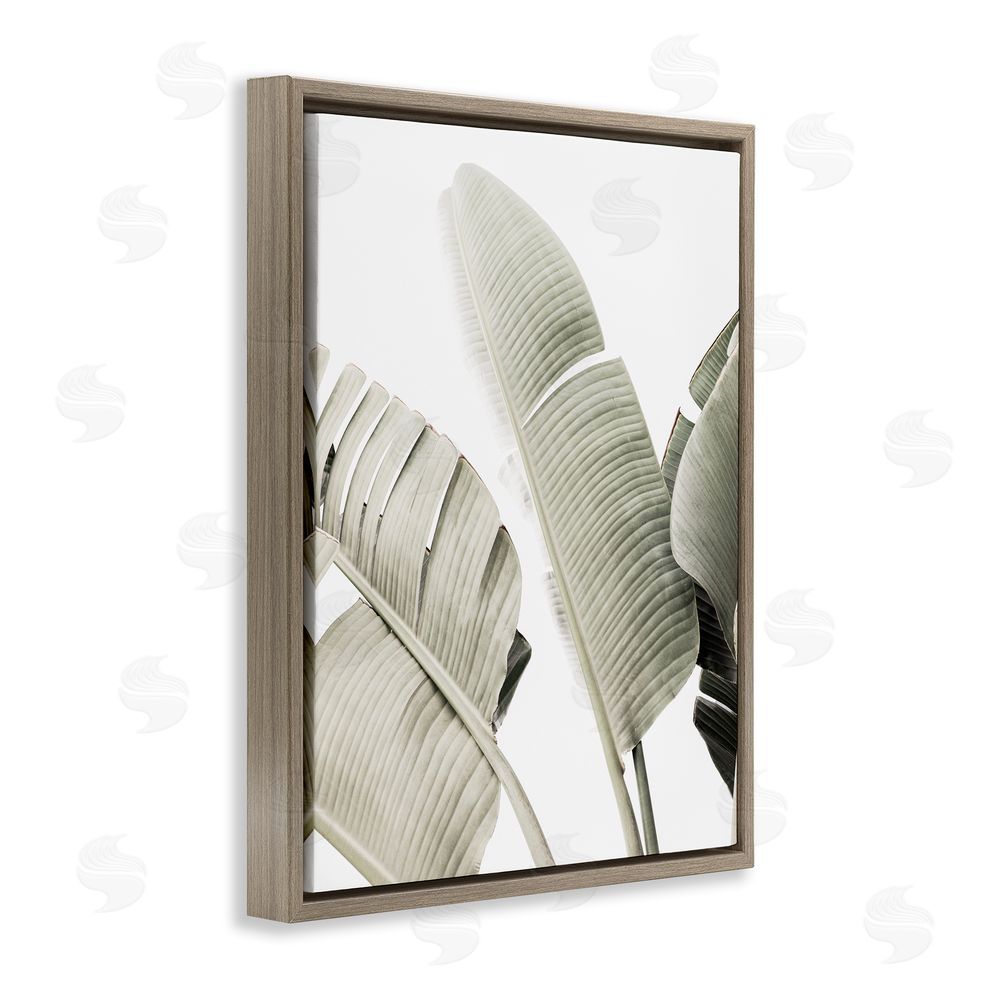 Sisi and Seb Muted Banana Leaves Brown Floating Frame Canvas Wall Art Print