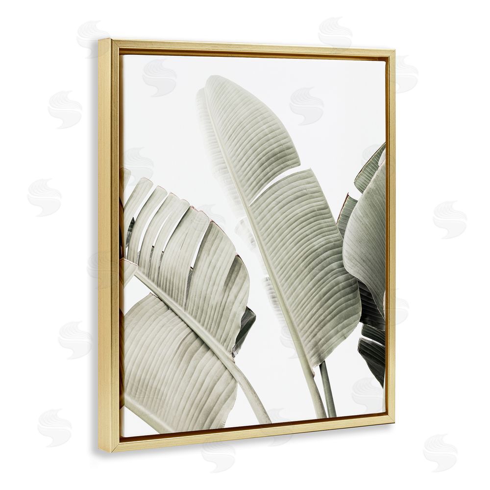Sisi and Seb Muted Banana Leaves Gold Floating Frame Canvas Wall Art Print