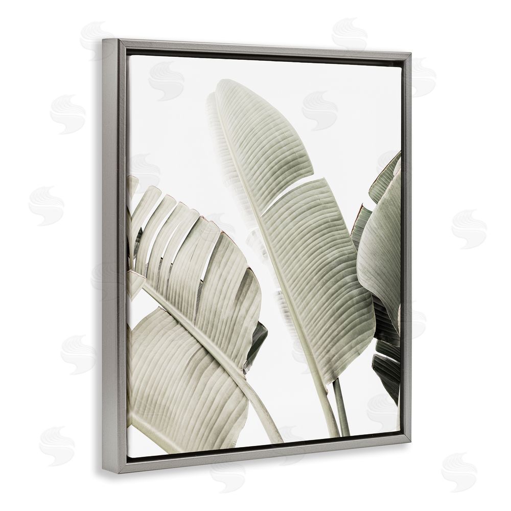 Sisi and Seb Muted Banana Leaves Gray Floating Frame Canvas Wall Art Print