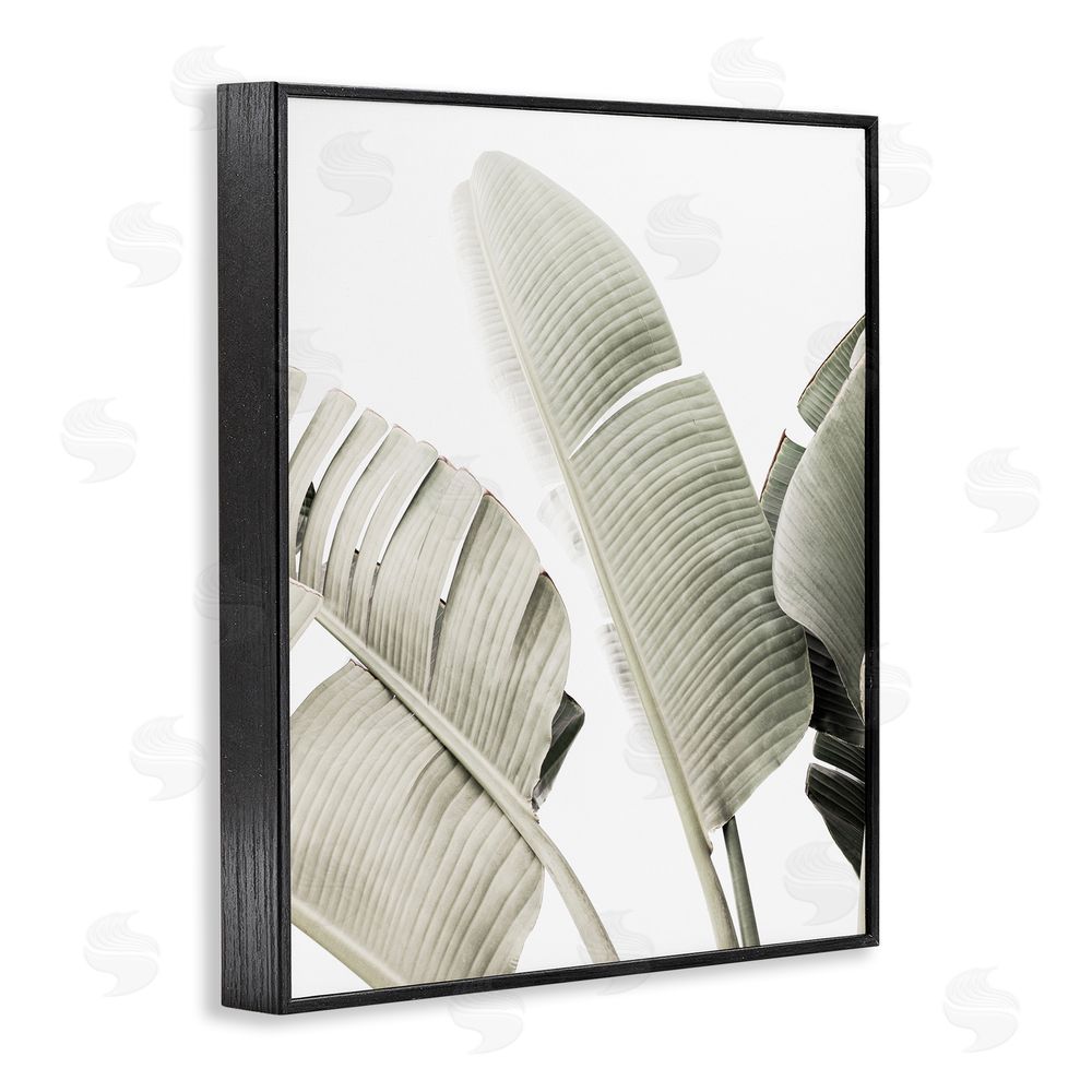 Sisi and Seb Muted Banana Leaves Black Framed Giclee Wall Art Print