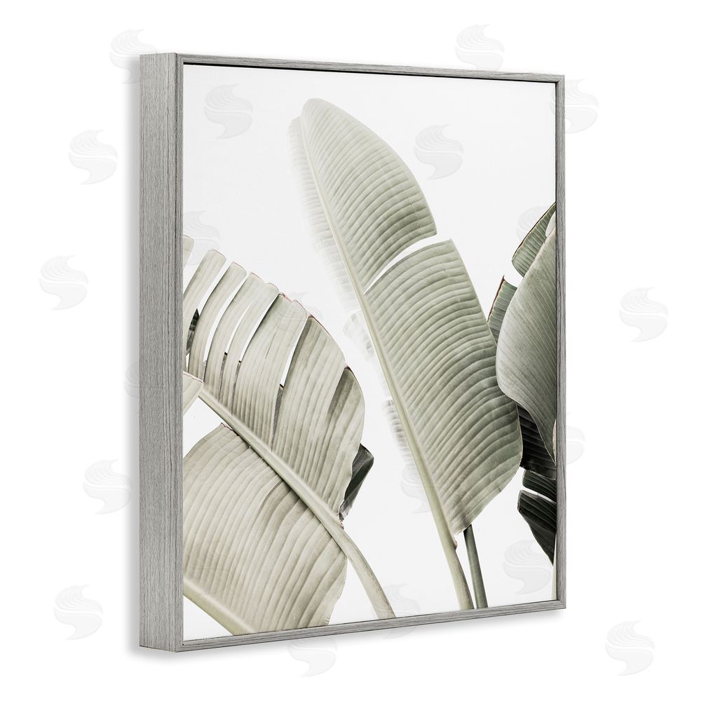 Sisi and Seb Muted Banana Leaves Gray Framed Giclee Wall Art Print