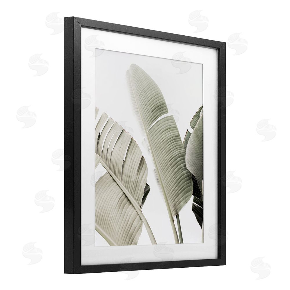 Sisi and Seb Muted Banana Leaves Black Framed Print Under Glass with White Mat Wall Art