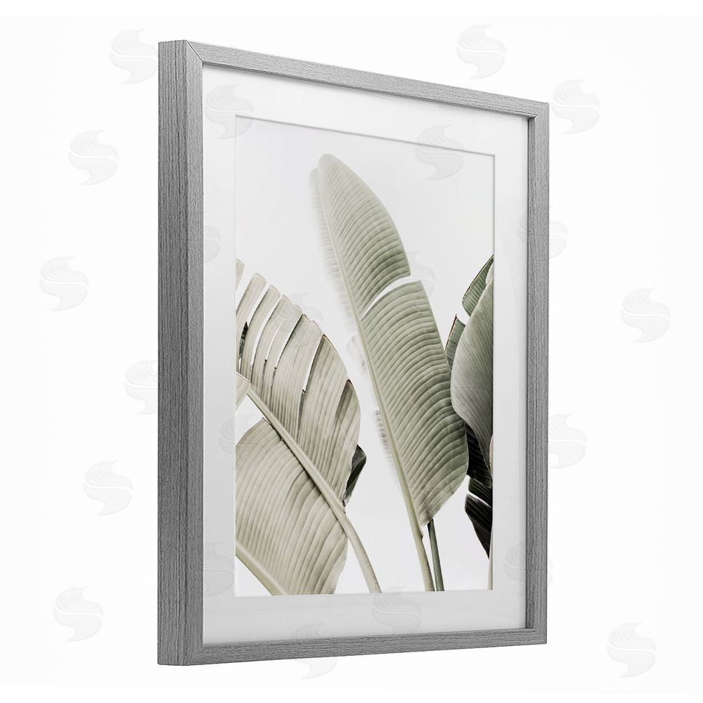 Sisi and Seb Muted Banana Leaves Gray Framed Print Under Glass with White Mat Wall Art