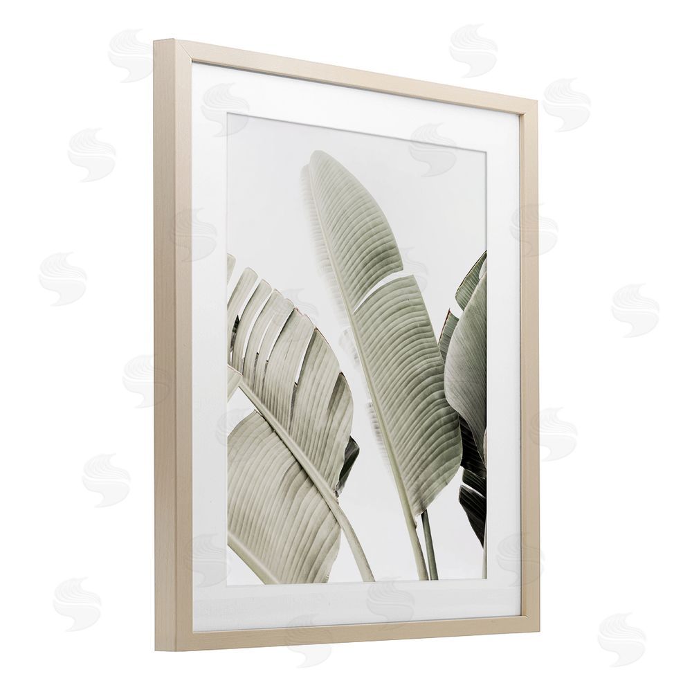 Sisi and Seb Muted Banana Leaves Birch Framed Print Under Glass with White Mat Wall Art