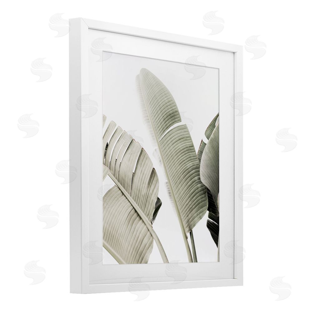 Sisi and Seb Muted Banana Leaves White Framed Print Under Glass with Mat Wall Art