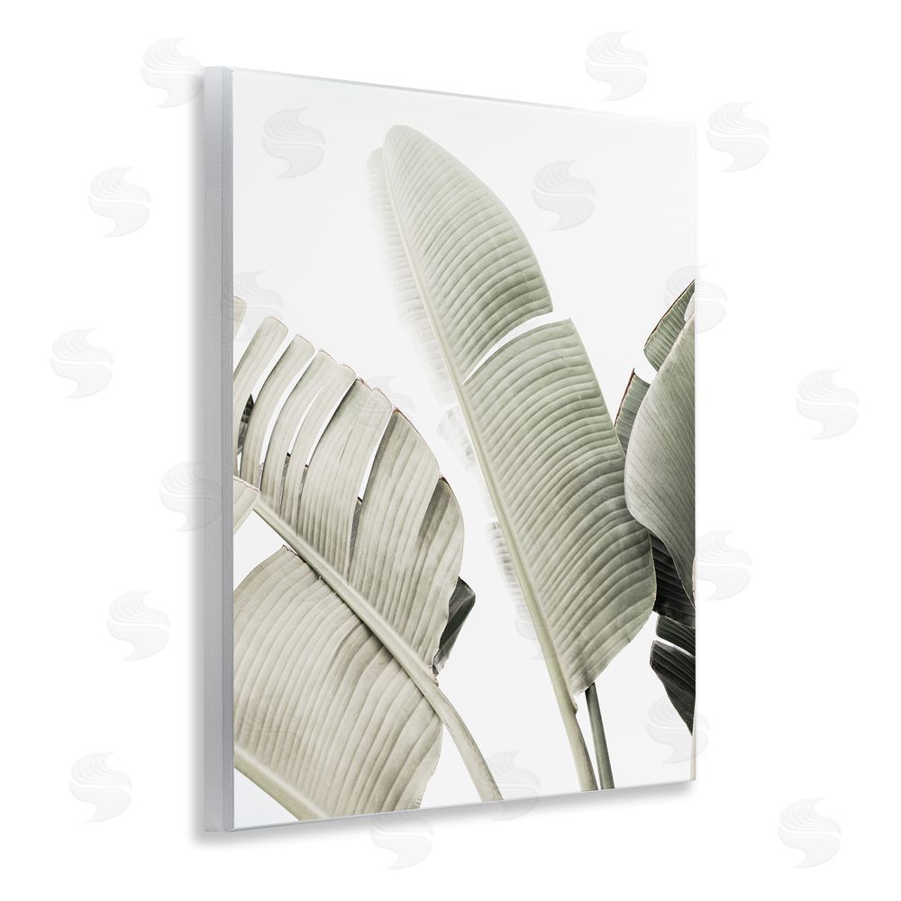 Sisi and Seb Muted Banana Leaves Wall Plaque Art Print