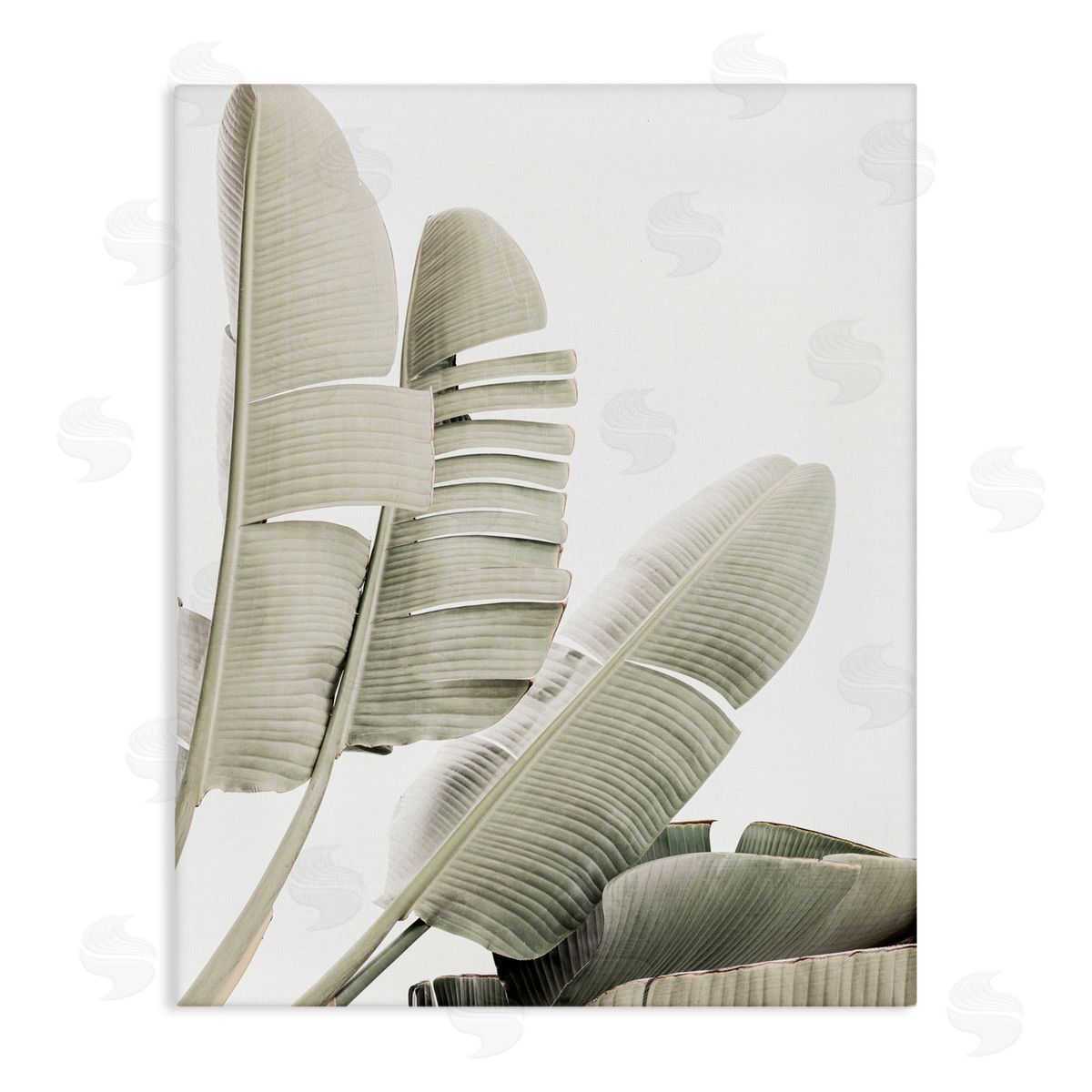 Sisi and Seb Fanning Banana Leaves Canvas Wall Art Print