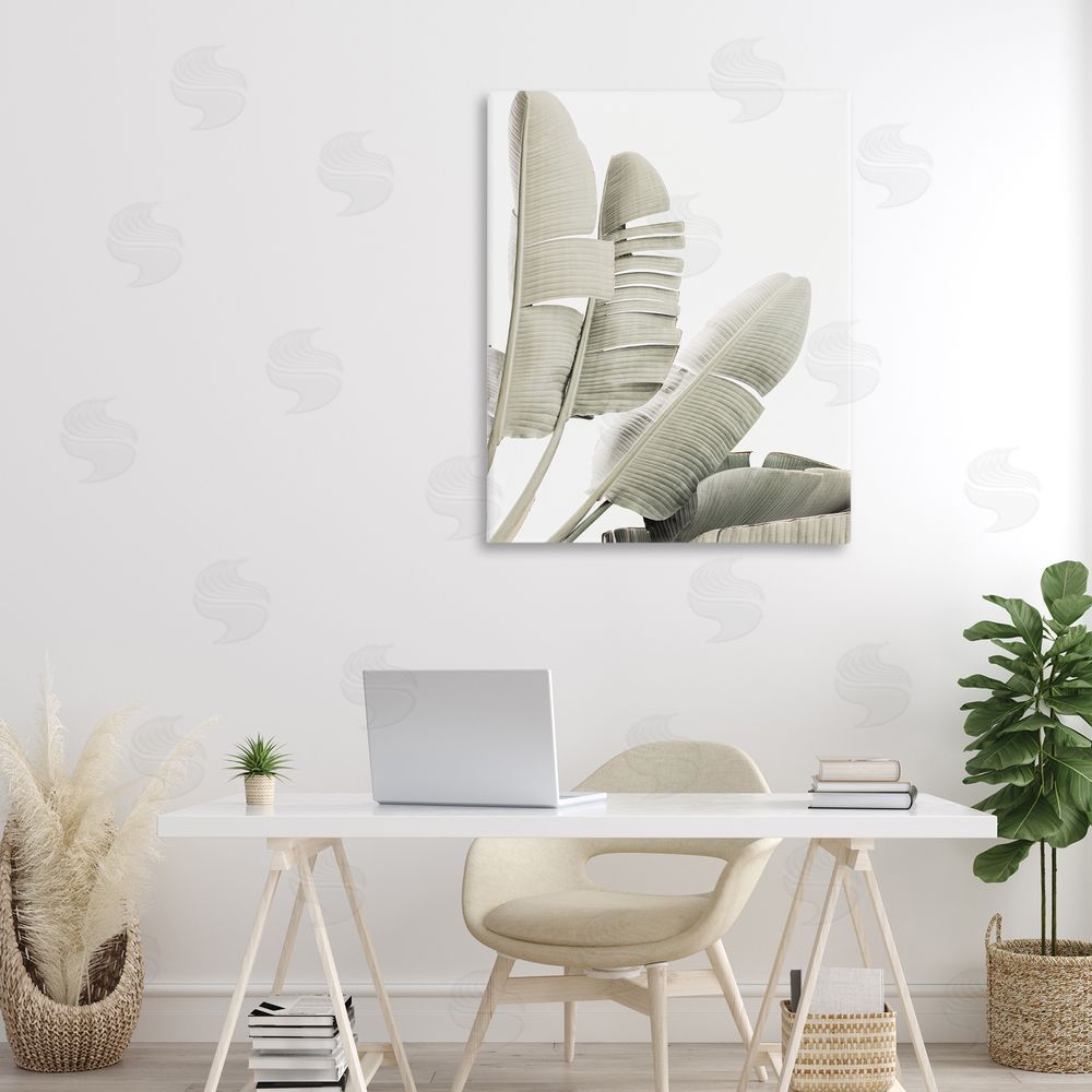 Sisi and Seb Fanning Banana Leaves Canvas Art on Wall
