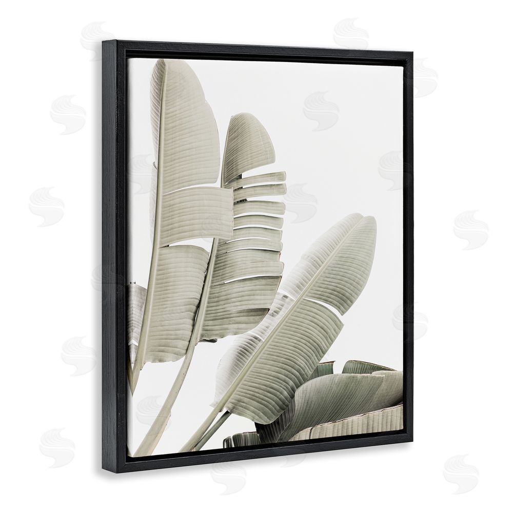 Sisi and Seb Fanning Banana Leaves Black Floating Frame Canvas Wall Art Print