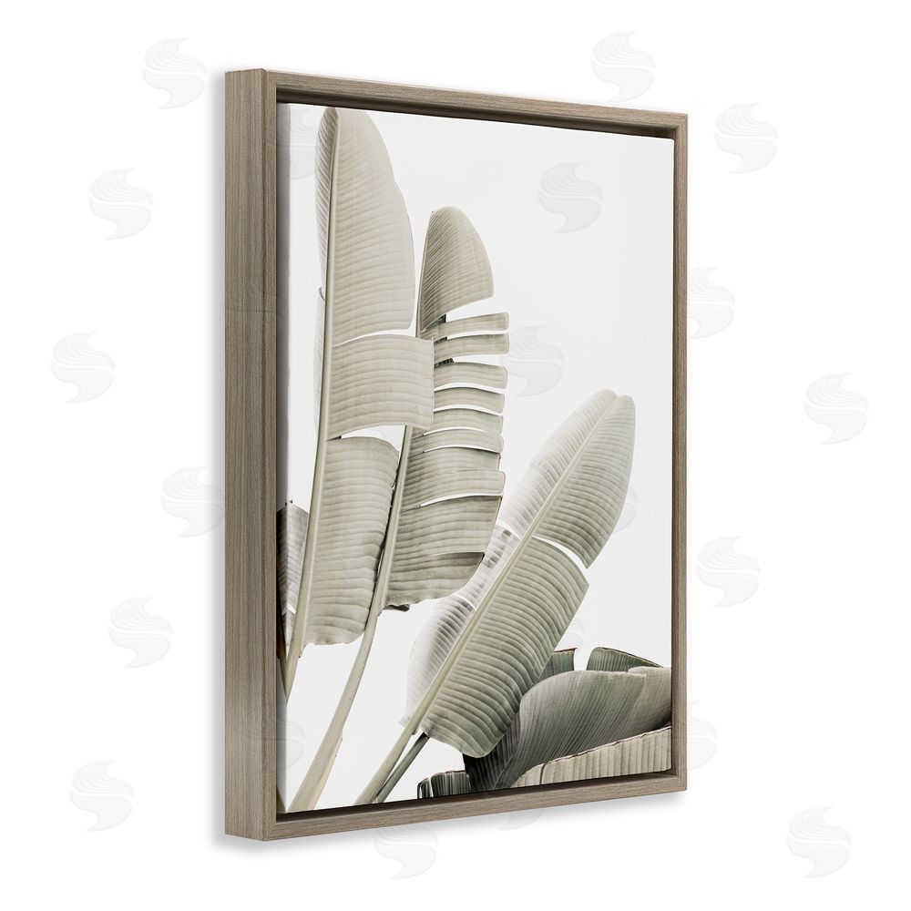 Sisi and Seb Fanning Banana Leaves Brown Floating Frame Canvas Wall Art Print