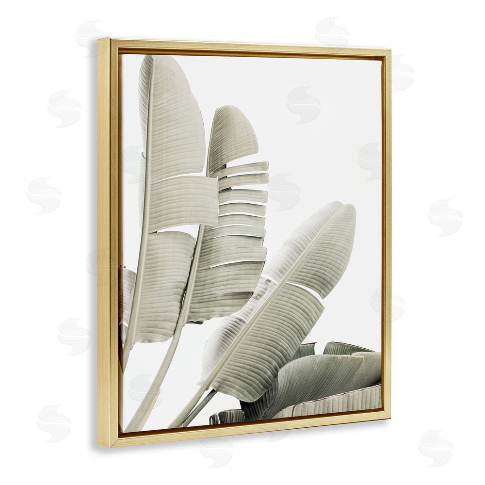 Sisi and Seb Fanning Banana Leaves Gold Floating Frame Canvas Wall Art Print