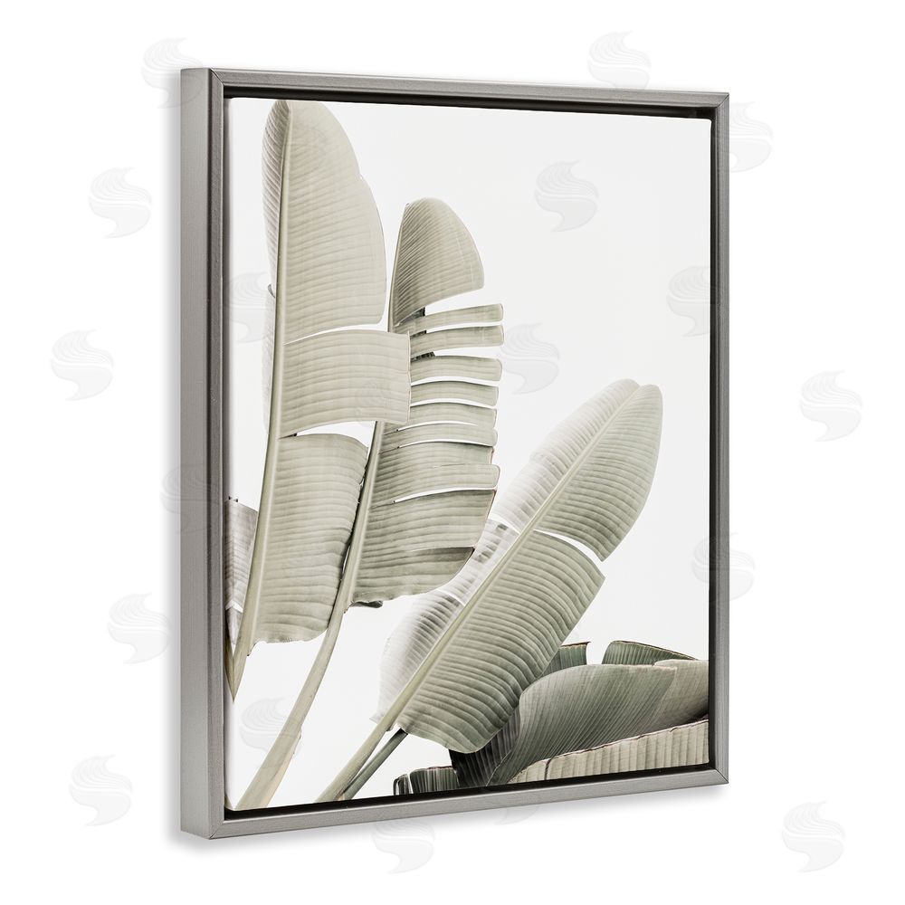 Sisi and Seb Fanning Banana Leaves Gray Floating Frame Canvas Wall Art Print