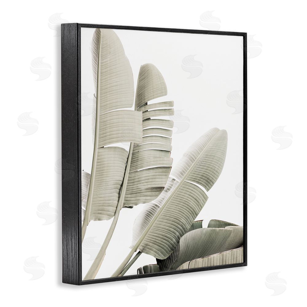 Sisi and Seb Fanning Banana Leaves Black Framed Giclee Wall Art Print