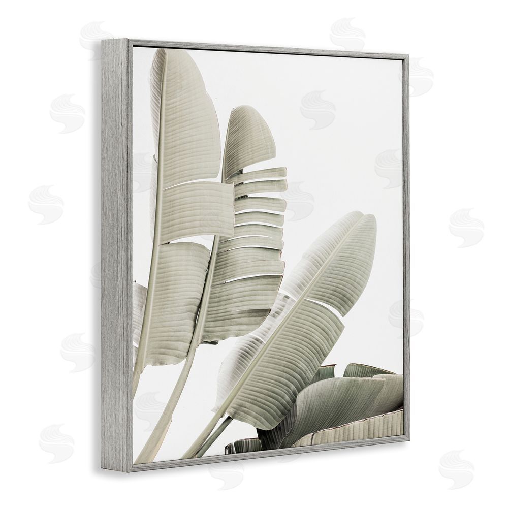 Sisi and Seb Fanning Banana Leaves Gray Framed Giclee Wall Art Print