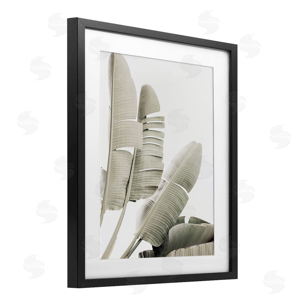 Sisi and Seb Fanning Banana Leaves Black Framed Print Under Glass with White Mat Wall Art