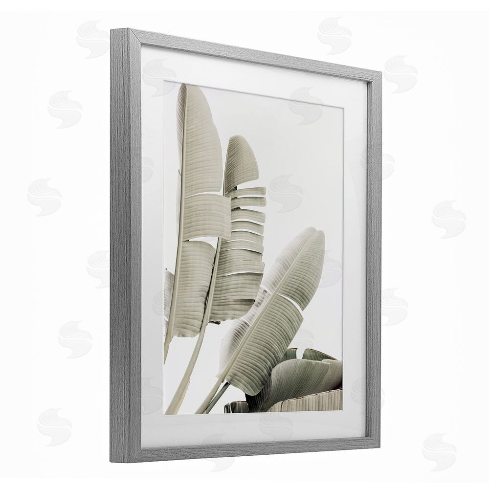 Sisi and Seb Fanning Banana Leaves Gray Framed Print Under Glass with White Mat Wall Art