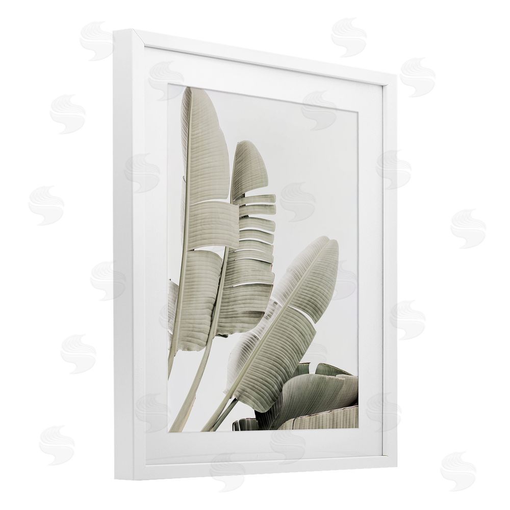 Sisi and Seb Fanning Banana Leaves White Framed Print Under Glass with Mat Wall Art