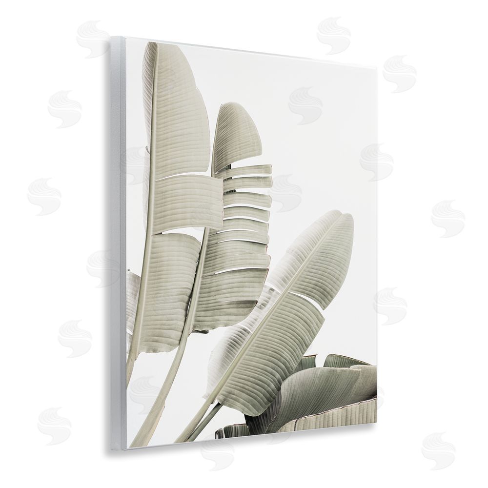 Sisi and Seb Fanning Banana Leaves Wall Plaque Art Print