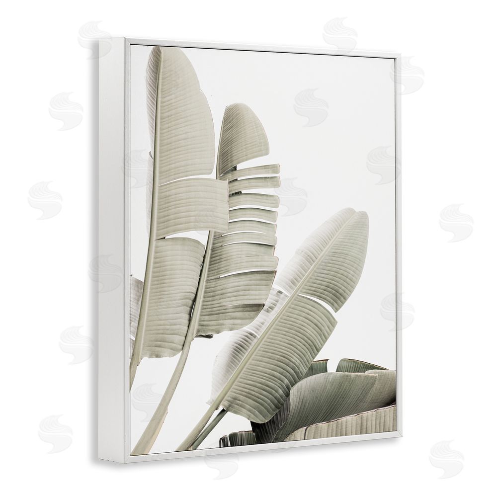 Sisi and Seb Fanning Banana Leaves White Framed Giclee Wall Art Print
