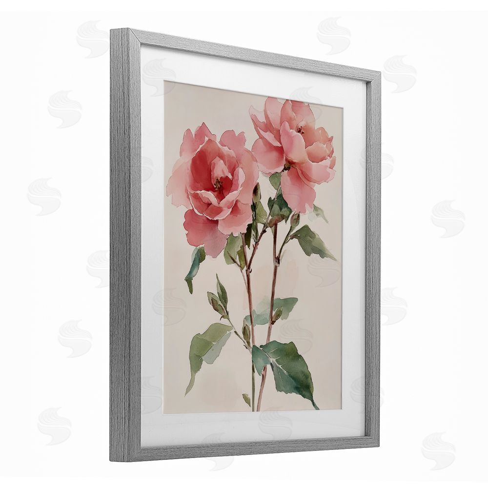 Petal Prints Design Watercolor Roses Pink Floras Gray Framed Print Under Glass with White Mat Wall Art