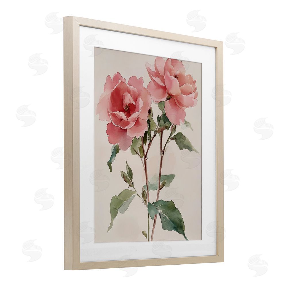 Petal Prints Design Watercolor Roses Pink Floras Birch Framed Print Under Glass with White Mat Wall Art