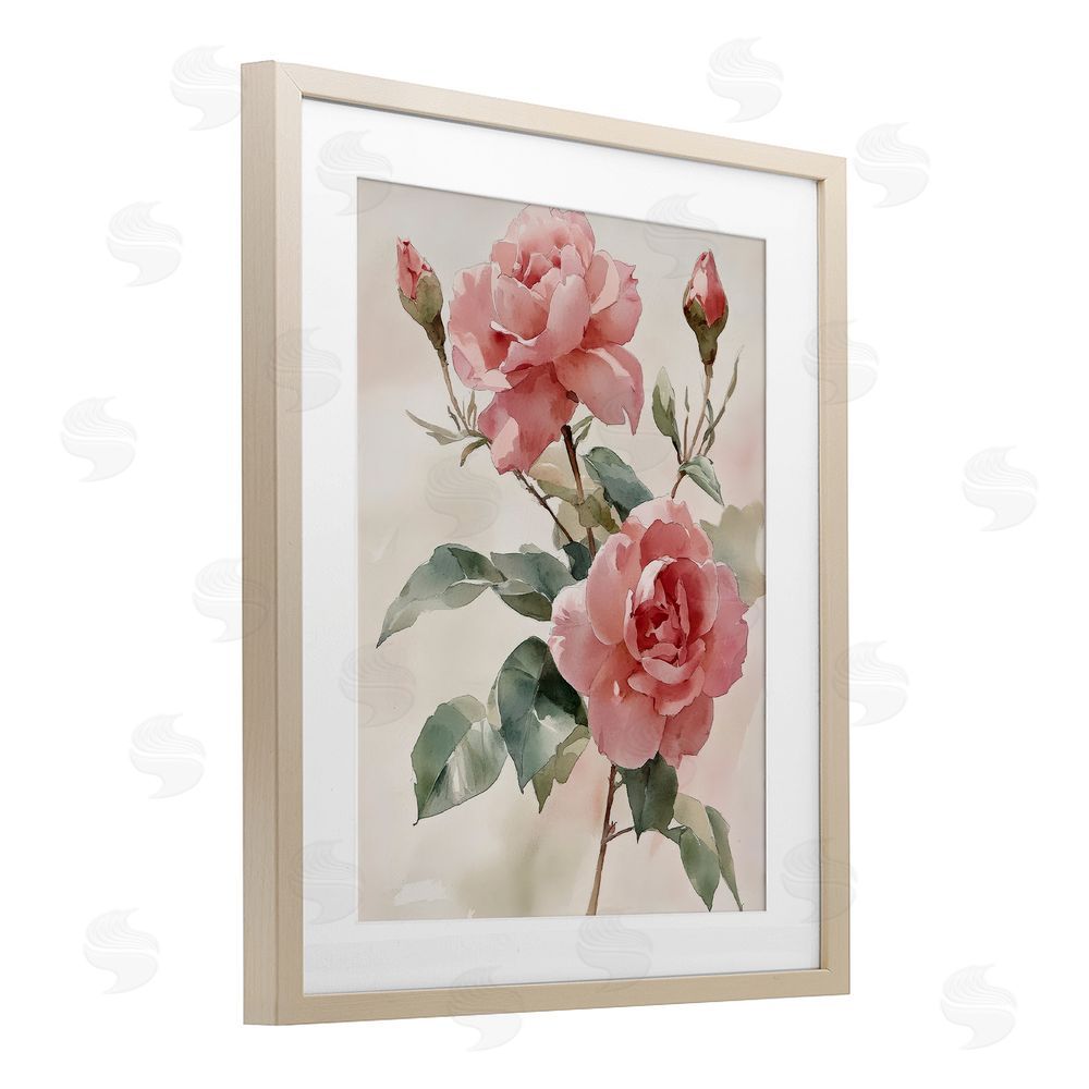 Petal Prints Design Pink Watercolor Roses and Buds Birch Framed Print Under Glass with White Mat Wall Art