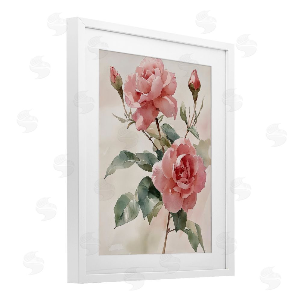 Petal Prints Design Pink Watercolor Roses and Buds White Framed Print Under Glass with Mat Wall Art