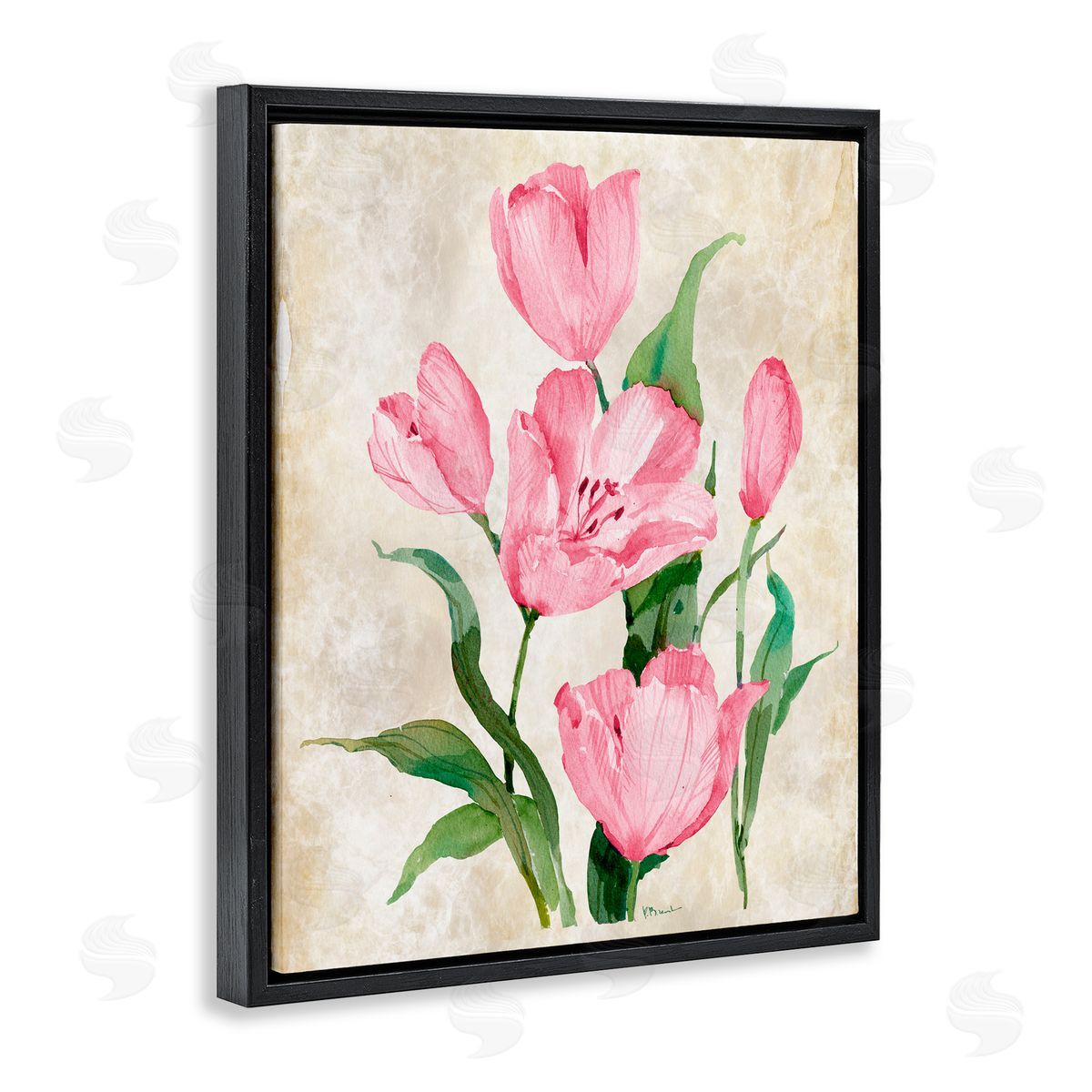 Paul Brent Floral Journal Pink Tulips Black Floating Frame Canvas Wall Art Print