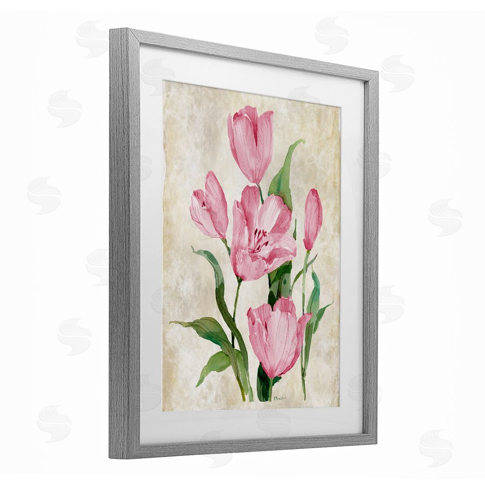 Paul Brent Floral Journal Pink Tulips Gray Framed Print Under Glass Art