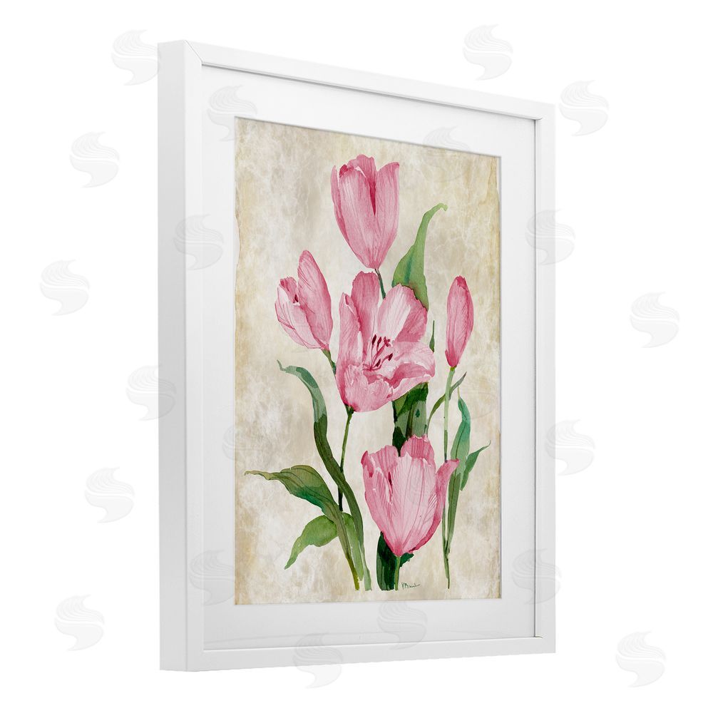 Paul Brent Floral Journal Pink Tulips White Framed Print Under Glass Art
