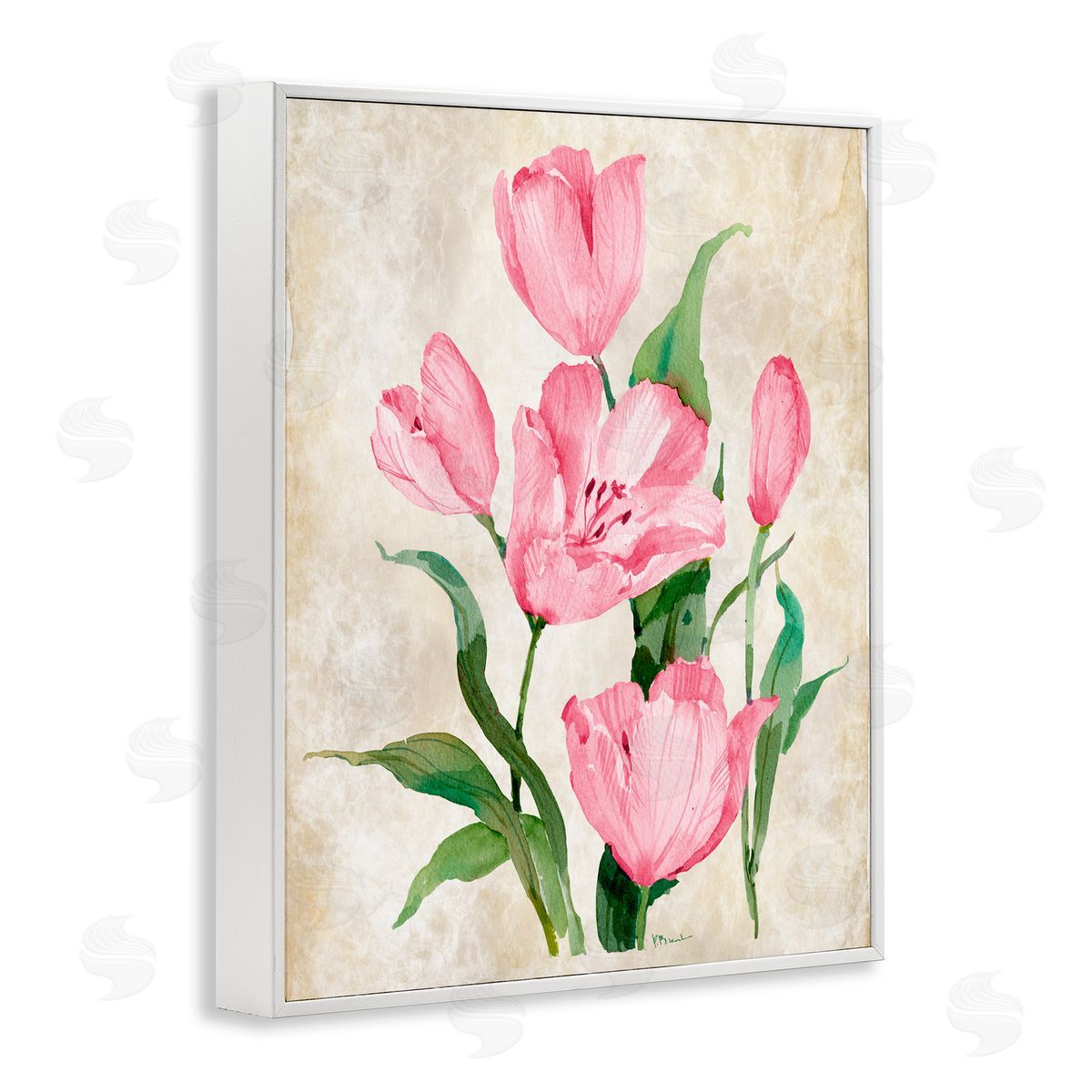 Paul Brent Floral Journal Pink Tulips White Frame Giclee Art Print